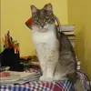 Отзыв от Алевтина Кириллова